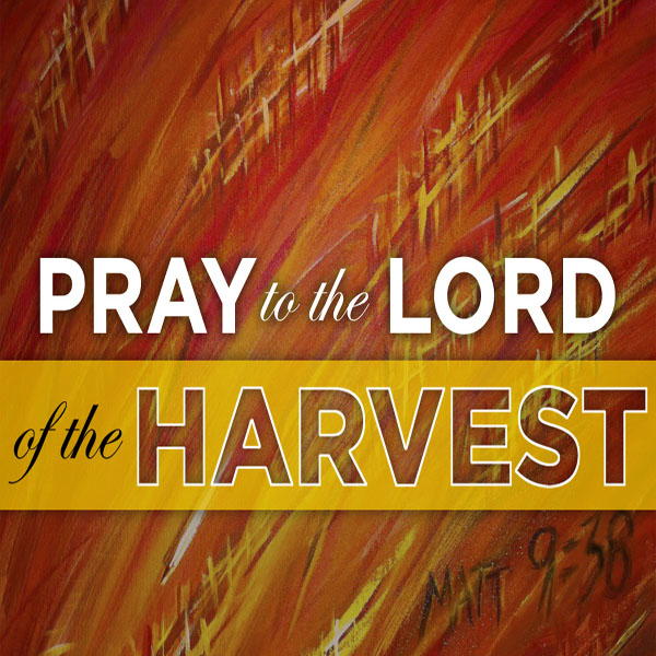 Pray to the Lord of the Harvest