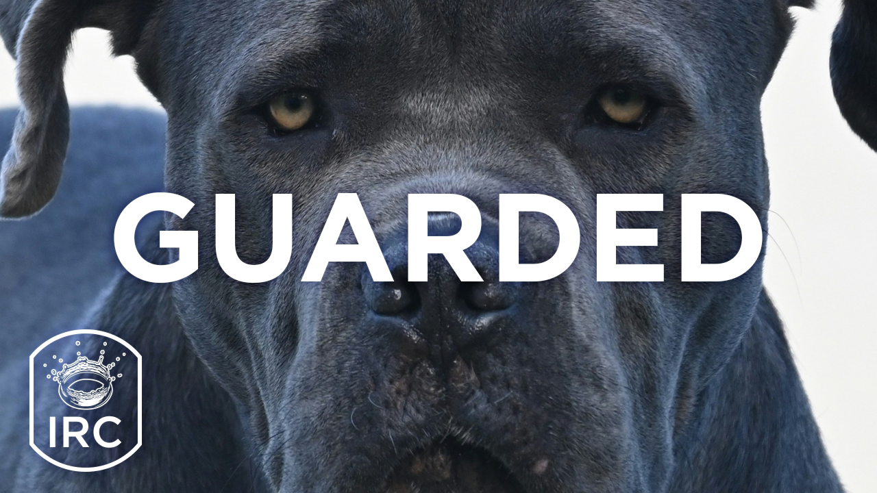 Guarded episode artwork